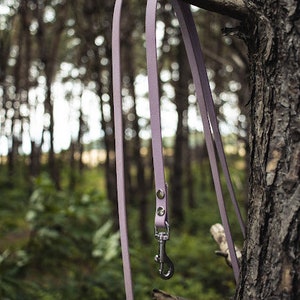 Biothane leash in desired length | desired width | desired color