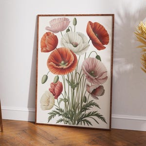 Poppy Flower Illustration – Printable Floral Wall Art | Botanical Art Print, Digital Download