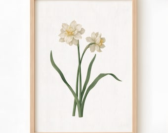 Arte de narcisos blancos, impresión botánica minimalista, decoración floral moderna para pared, descarga digital