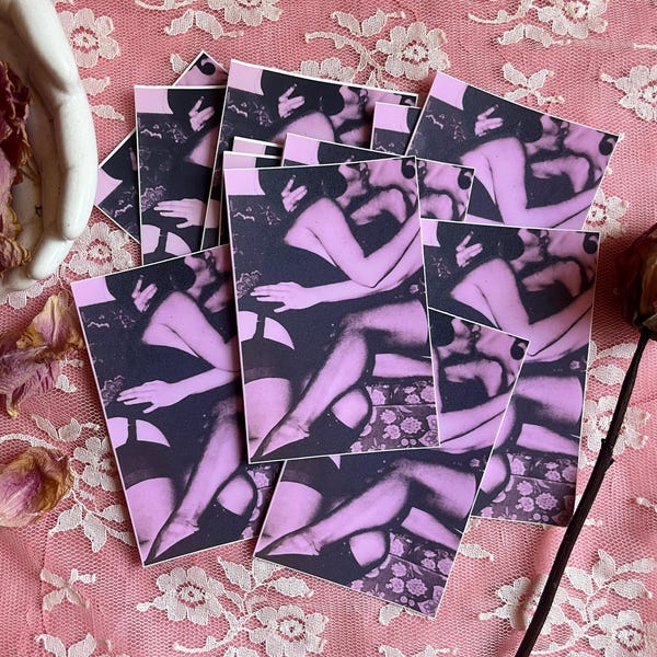 Vintage Pink Femme Lesbian - Queer Pride -  sticker