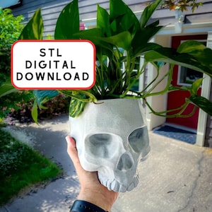 May include: A white skull-shaped planter with a green plant growing out of the top. The planter is made of a textured material and has a rough, unfinished look. The text "STL DIGITAL DOWNLOAD" is visible in a red box.