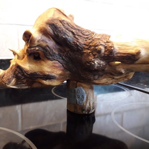 Unique Handmade Natural Eco-Friendly Wood Carving of Two Boar Heads for Home Decor Collectable Gift with Stand, Only One in Existence