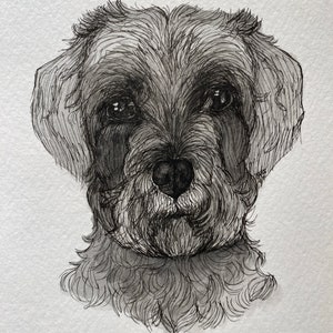 Custom ink & watercolor pet illustrations! Many sizes, see description