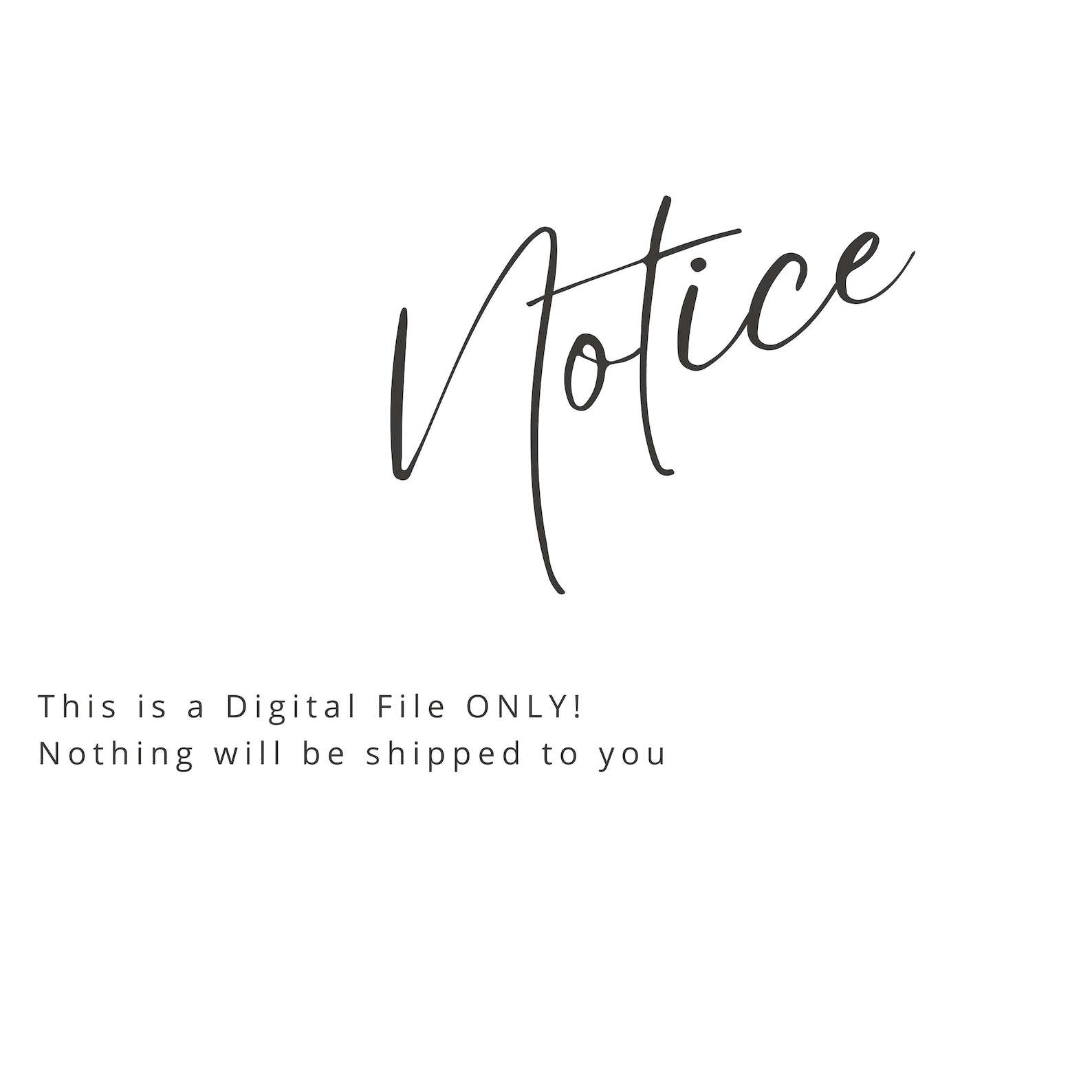 Teddy Bear Baby Shower Games Fun Baby Shower Games Guess Who Baby