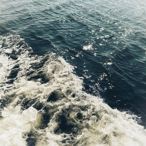 Sea Island Series- Photo/Print 2