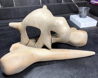 Life sized cubone skull