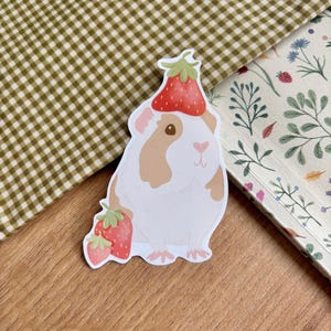 fraise de cobaye | Autocollant en vinyle brillant 3,5 pouces | Sticker imperméable | Autocollants mignons | Décoration de journal