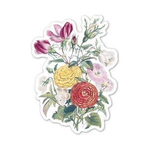 May include: A bouquet of flowers with pink, red, yellow, and white blooms. The flowers are arranged in a cluster with green leaves and stems.