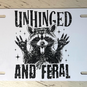 Raccoon-Multiple Designs-Funny License Plate