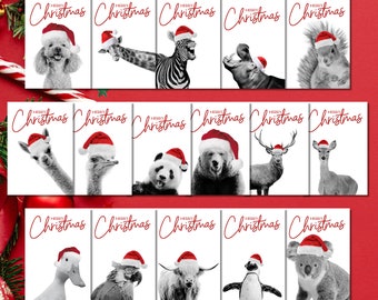 Fun Animals Christmas Cards Bundle | Instant download