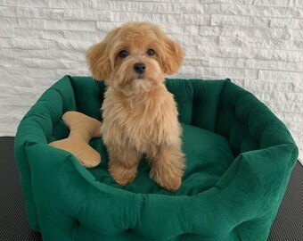 Cuccia per animali in velluto fatta a mano: elegante cuccia per cani con giocattolo a forma di osso