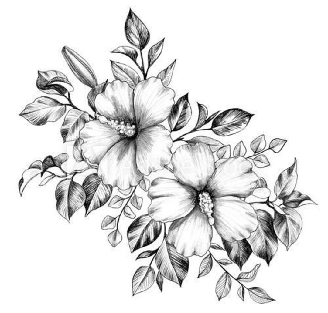 A Digital Coloring Books for Your Kid to Drawing. Etsy