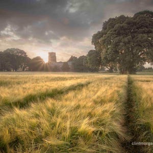 May include: A scenic landscape featuring a field of golden wheat leading to a distant church under a cloudy sky. A large tree stands on the right, with the sun peeking through the clouds.
