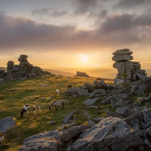 Staple Tor, Dartmoor
