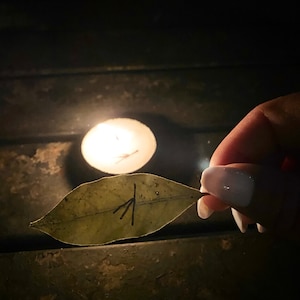 Custom Bay Leaf Burning | Bay leaf spell | Manifestation