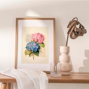 Indulge in the everlasting charm of vintage botanical art with our Timeless Elegance Vintage Blue and Pink Hydrangea Watercolor Print. This digital download captures the enduring beauty of hydrangea blossoms in delicate shades of blue and pink.