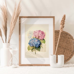 Indulge in the everlasting charm of vintage botanical art with our Timeless Elegance Vintage Blue and Pink Hydrangea Watercolor Print. This digital download captures the enduring beauty of hydrangea blossoms in delicate shades of blue and pink.