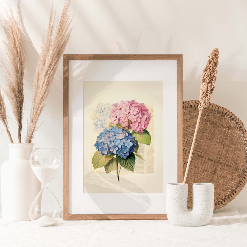 Indulge in the everlasting charm of vintage botanical art with our Timeless Elegance Vintage Blue and Pink Hydrangea Watercolor Print. This digital download captures the enduring beauty of hydrangea blossoms in delicate shades of blue and pink.