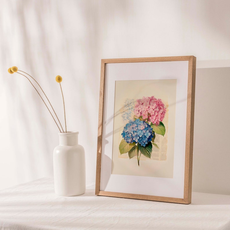 Indulge in the everlasting charm of vintage botanical art with our Timeless Elegance Vintage Blue and Pink Hydrangea Watercolor Print. This digital download captures the enduring beauty of hydrangea blossoms in delicate shades of blue and pink.