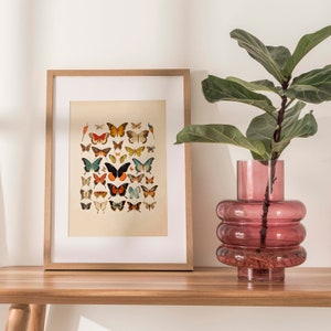 Step into a world of enchantment with this captivating vintage-inspired butterfly watercolor print. It pays homage to the delicate and diverse beauty of antique butterflies and moths, rendered in an array of vivid colors that evoke a sense of wonder.