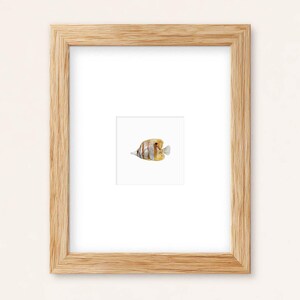 Tiny Butterfly Fish Watercolor Print: Minimal Coastal Ocean Decor (Physical Print)