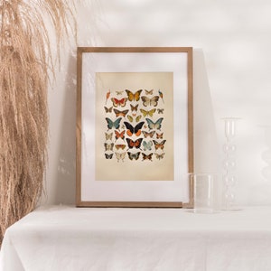 Step into a world of enchantment with this captivating vintage-inspired butterfly watercolor print. It pays homage to the delicate and diverse beauty of antique butterflies and moths, rendered in an array of vivid colors that evoke a sense of wonder.