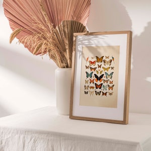 Step into a world of enchantment with this captivating vintage-inspired butterfly watercolor print. It pays homage to the delicate and diverse beauty of antique butterflies and moths, rendered in an array of vivid colors that evoke a sense of wonder.