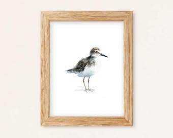 Sandpiper Watercolor Print: Coastal Shore Bird Wall Art, Beach House Decor (Digital Download)