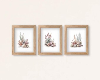 Coastal Shells Watercolor Prints: Set of 3 Neutral Beach Gallery Wall (Digital Download)