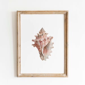 Muschelschale Aquarell Druck: Küsten Strandhaus Wand Kunst (Digitaler Download)