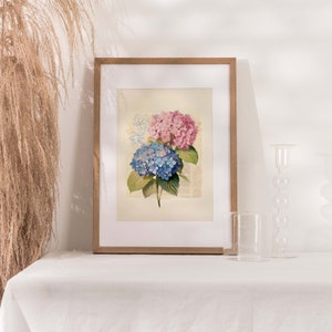 Indulge in the everlasting charm of vintage botanical art with our Timeless Elegance Vintage Blue and Pink Hydrangea Watercolor Print. This digital download captures the enduring beauty of hydrangea blossoms in delicate shades of blue and pink.