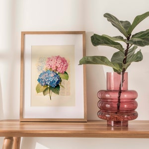 Indulge in the everlasting charm of vintage botanical art with our Timeless Elegance Vintage Blue and Pink Hydrangea Watercolor Print. This digital download captures the enduring beauty of hydrangea blossoms in delicate shades of blue and pink.