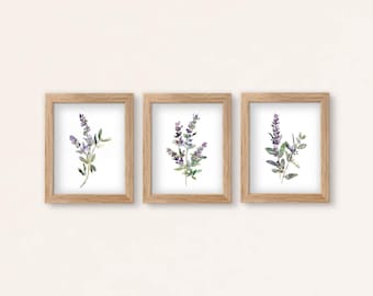 Lavendel Aquarell Print Set: Botanische Wandkunst, Bauerngarten Dekor (Physische Drucke)