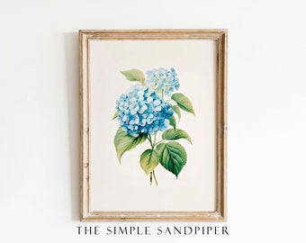 Vintage Hydrangea Watercolor Print, Antique Botanical Wall Art, Historic Floral Instant Print Digital Download, The Simple Sandpiper