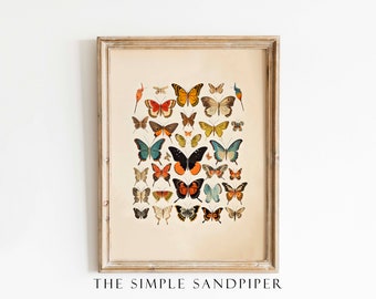 Vintage Butterfly Watercolor Print, Antique Butterflies Wall Art, Historic Moth Instant Print Digital Download, The Simple Sandpiper