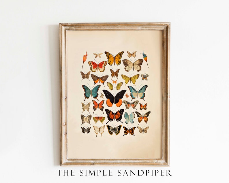 Step into a world of enchantment with this captivating vintage-inspired butterfly watercolor print. It pays homage to the delicate and diverse beauty of antique butterflies and moths, rendered in an array of vivid colors that evoke a sense of wonder.