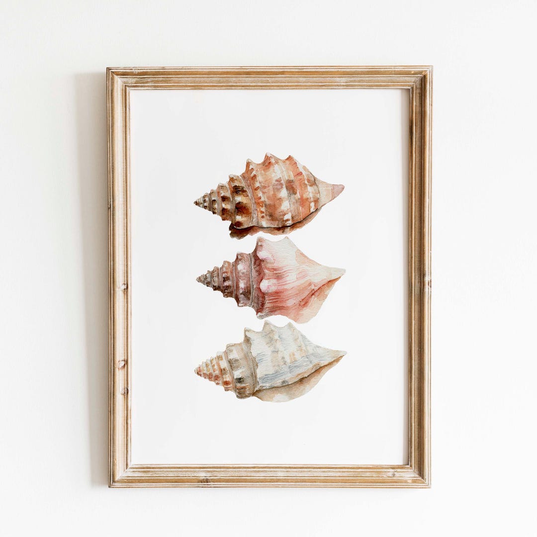 Coastal Conch Shell Trio Watercolor Print: Beach Cottage Wall Art ...