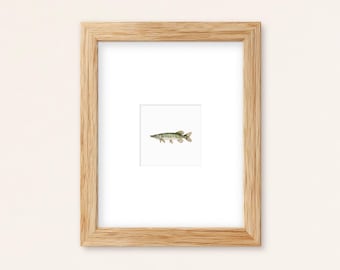 Tiny Muskellunge Watercolor Print: Freshwater Trophy Fish Cabin Decor (Fine Art Or Framed)