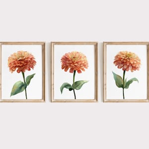 Peach Zinnia Watercolor Print Set: Neutral Floral Botanical Art (Digital Download)
