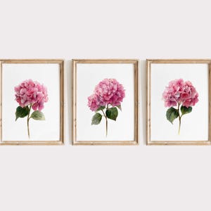 Vintage rosa Hortensien botanische Aquarelldrucke, 3er-Set florale Kunstwerke, Cottage Bauernhaus Dekor, Aquarell digitaler Download Geschenk