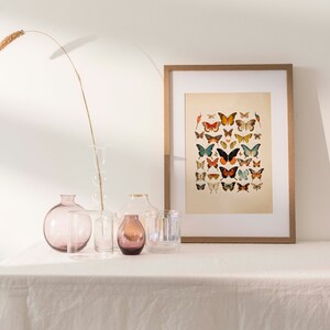 Step into a world of enchantment with this captivating vintage-inspired butterfly watercolor print. It pays homage to the delicate and diverse beauty of antique butterflies and moths, rendered in an array of vivid colors that evoke a sense of wonder.