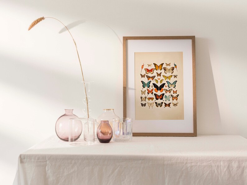 Step into a world of enchantment with this captivating vintage-inspired butterfly watercolor print. It pays homage to the delicate and diverse beauty of antique butterflies and moths, rendered in an array of vivid colors that evoke a sense of wonder.