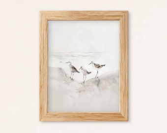 Lámina de acuarela de correlimos: Arte de aves costeras de playa (Descarga digital)