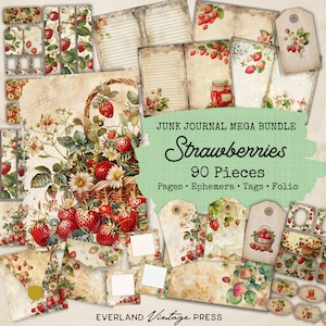 Kit de diário de lixo de morango - 90 peças, coisas efêmeras de morango vintage, extras do kit de diário de lixo de morango, cartões de coisas efêmeras, colagem digital