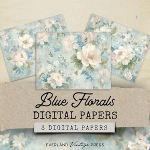 Shabby Blue, Rose, Shabby Chic, Diario Floreale, Diario Vintage, Carta per Diario, Carta per Diario Rinascimentale, Carta Rococò