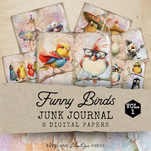 Quirky Birds Junk Journal Pages, Quirky Birds Ephemera Junk Journal, 6 Funny Birds Junk Journal Pages, Paper Craft, Vintage Ephemera