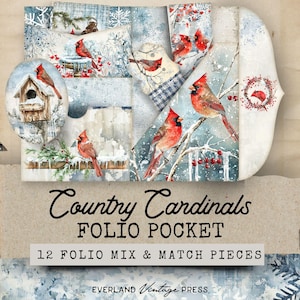 Cardinal Junk Journal, Botanisches Vogel Ephemera, Winter Junk Journal Folio, Winter Wunderland Junk Journal, Vogelbeobachter Junk Journal