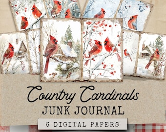 Kardinal skräpjournal, skräpjournal botaniska fågeltryck, vinterskräpjournal, vinterunderlandet skräpjournalkit, fågelskådarens skräpjournal