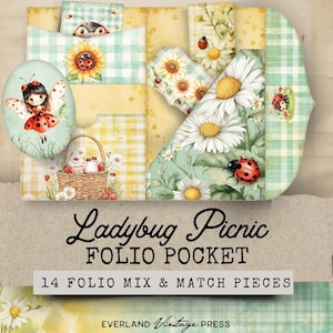 May include: A collection of paper ephemera with a ladybug and floral theme. The design includes sunflowers, daisies, and gingham patterns in yellow, green, and white. The text reads "Ladybug Picnic Folio Pocket" and "14 Folio Mix & Match Pieces."