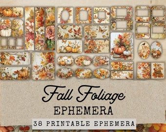 Könnte beinhalten: Ein Set mit 38 druckbaren Herbstlaub-Ephemera-Grafiken. Die Grafiken zeigen Kürbisse, Blätter, Blumen und andere herbstliche Elemente in warmen Herbstfarben. Die Grafiken sind perfekt für Scrapbooking, Kartenherstellung und andere Bastelprojekte.